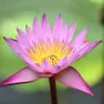 image012