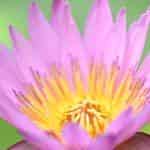 image014