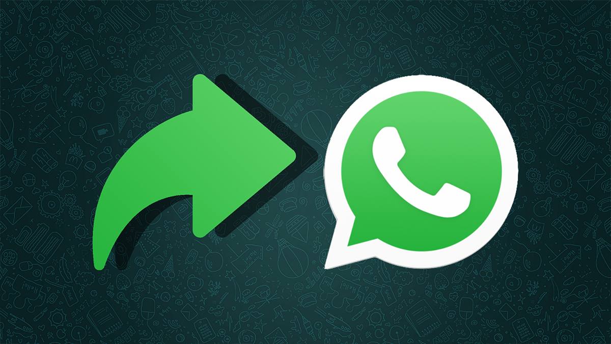 This Whatsapp trick will help you send files more than 16MB limit