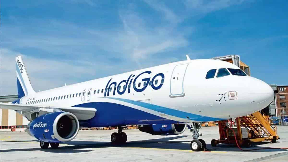 Indigo's second-quarter net loss has increased to Rs 1,435.7 crore, while revenue has increased to Rs 5,608.5 crore