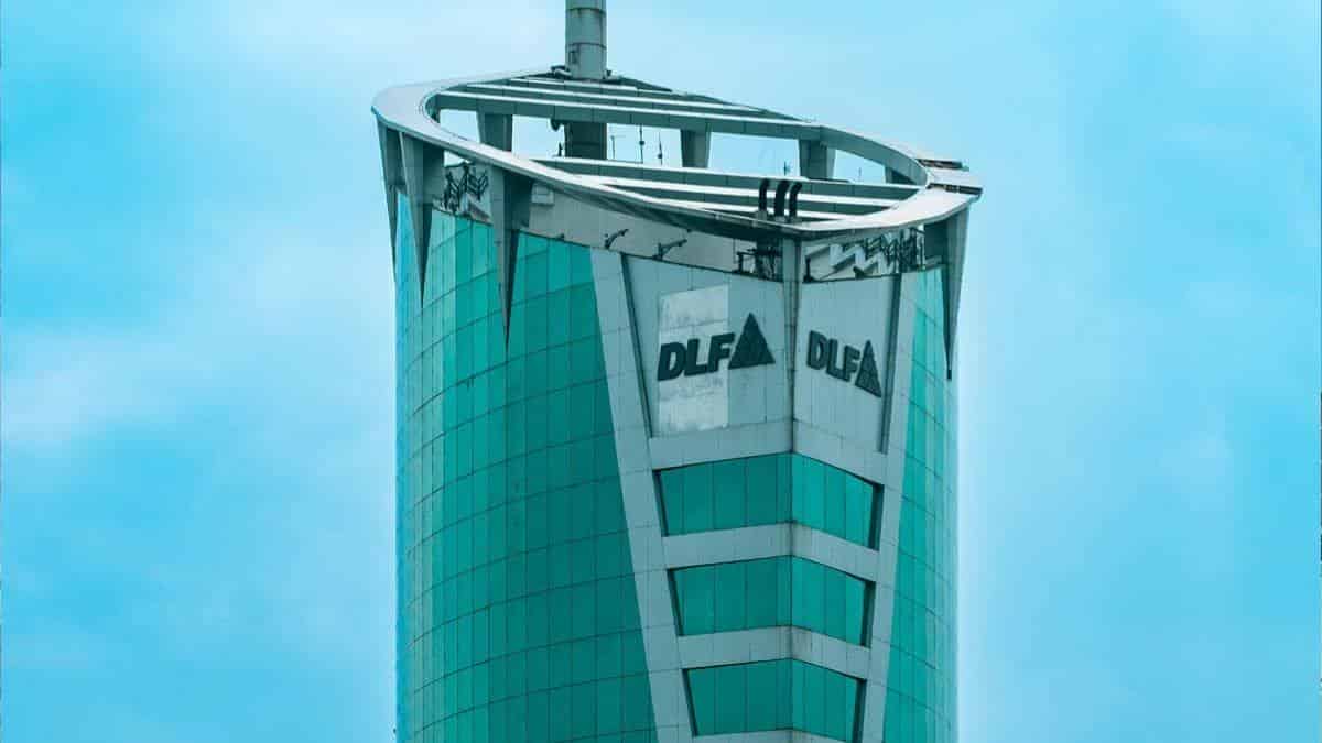 dlf net profit increase