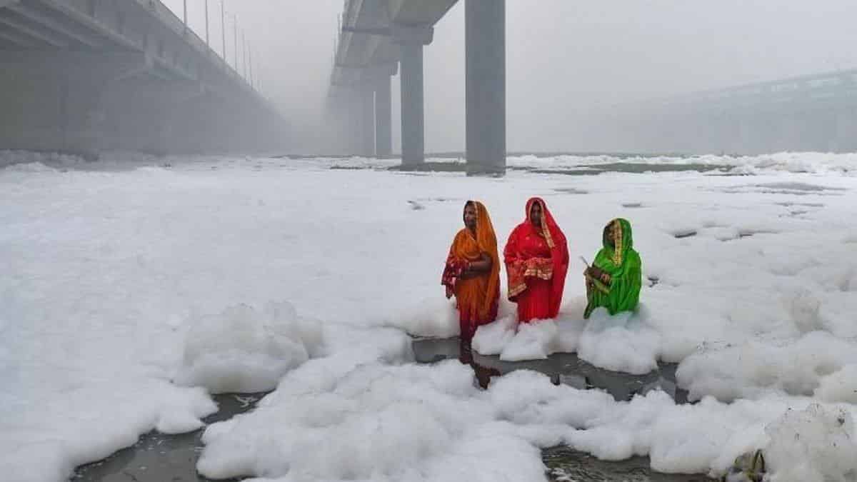 Delhi govt deploys 15 boats to remove forth from Yamuna with help of ropes Reports