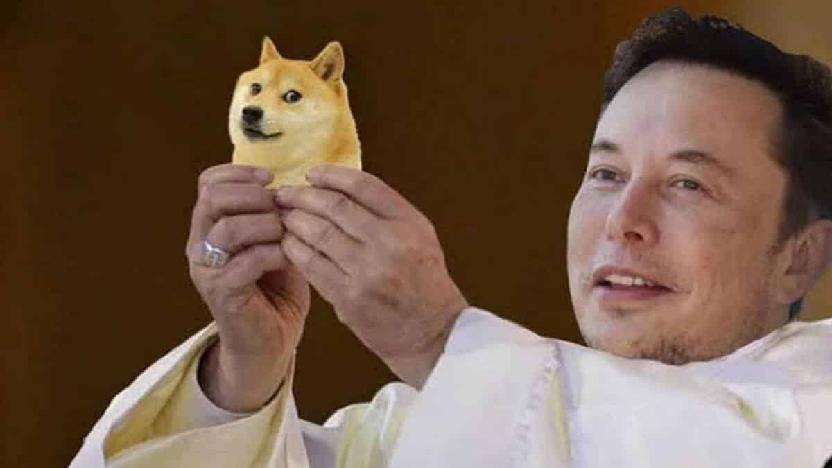Elon Musk on T.I.T.S: Tuition is in Dogecoin & u get a discount if u have a dog