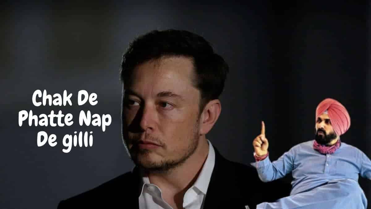 Elon Musk Chak De Phatte Nap De gilli