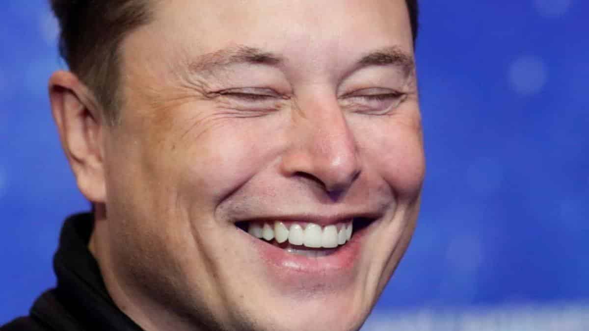Elon Musk Shared A tiger Testicle Meme