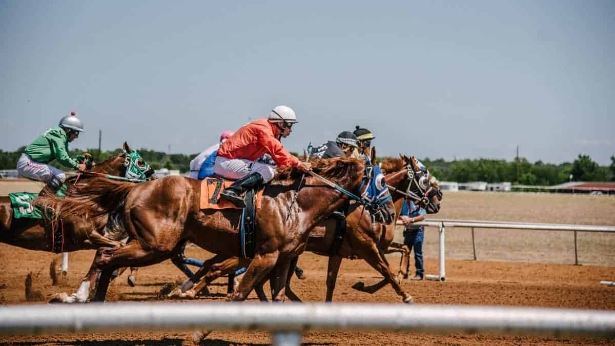 The Most Prestigious Horse Racing Events of 2022