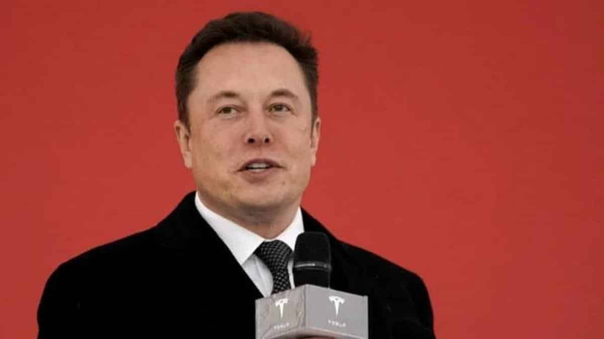 They’re being driven around in limousines