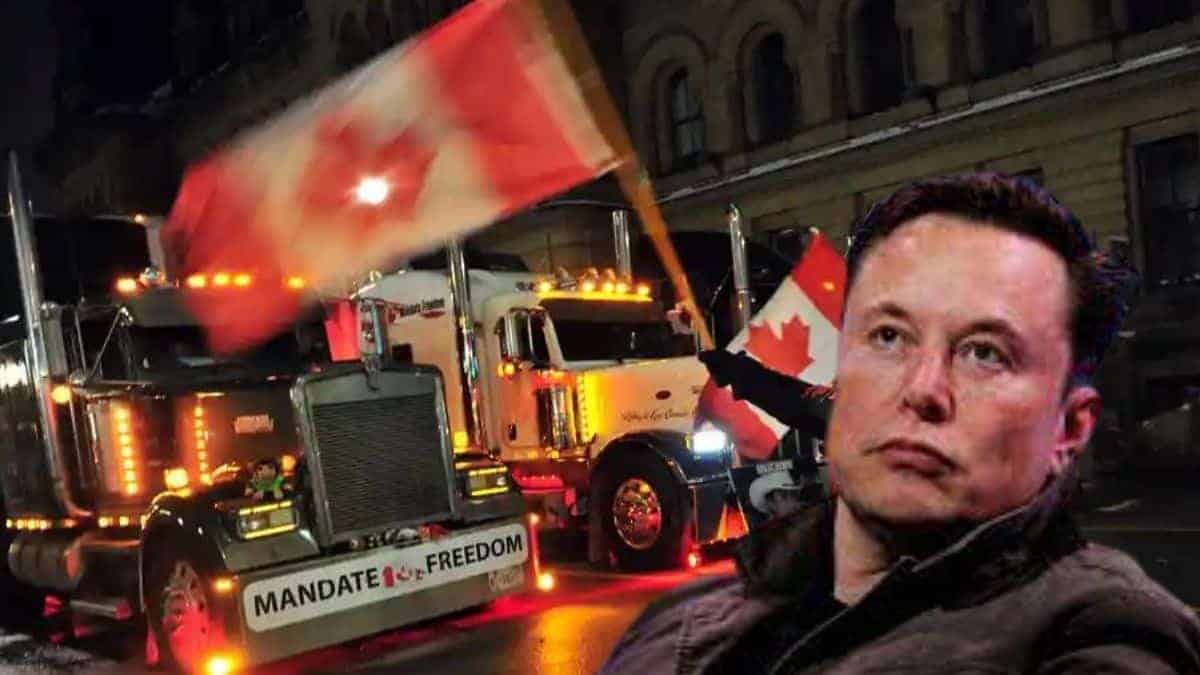 Elon Musk i wish i could help