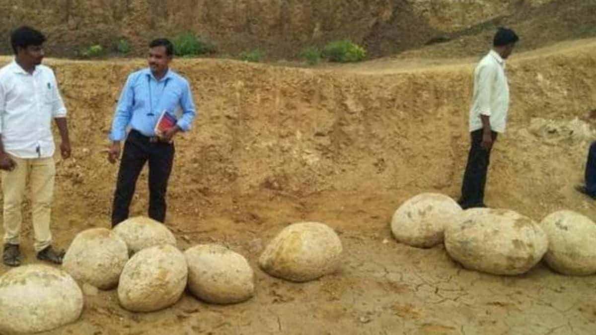 Fact Check Are Objects found in Perambalur tank dinosaur eggs