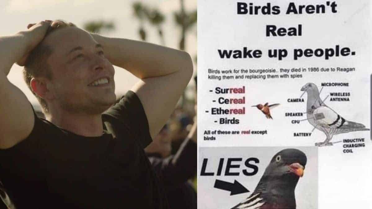 Elon Musk Mocks Russian Defence Minister over bird comment, Said Little do they know, birds aren’t real!