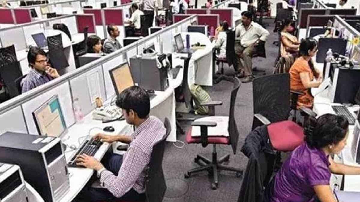 Service sector grows modestly