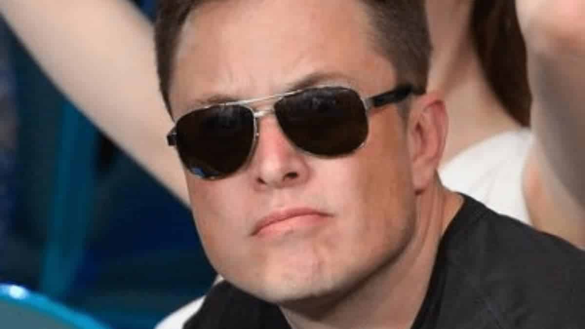 Elon Musk plays Sumo Wrestling tweets how he felt