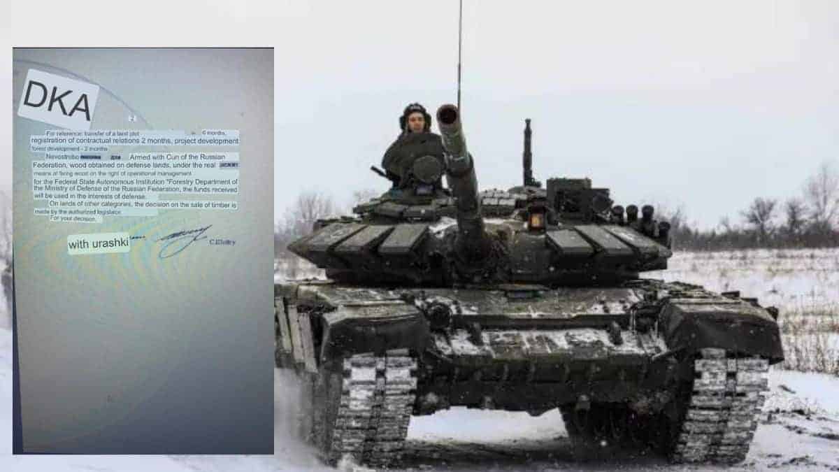 mass deforestation of Ukrainian forests