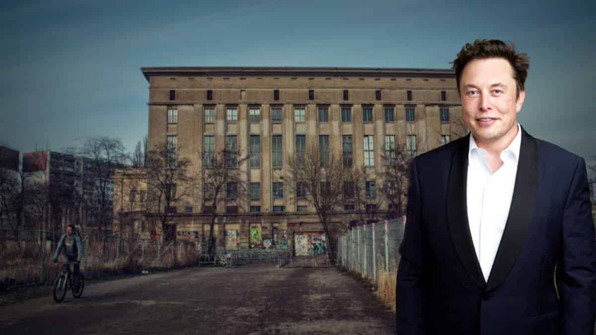 Elon Musk declared that he hates the word peace