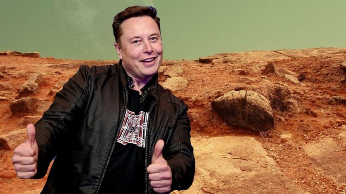 Elon Musk Is Happy With His Successful Spaceship Launch And Plans His Mars Mission!