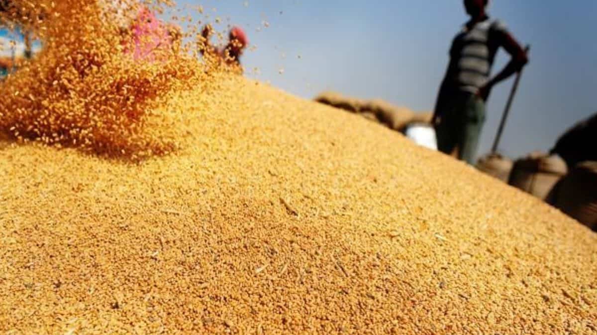 G7 Countries criticises India's plan to halt wheat shipments