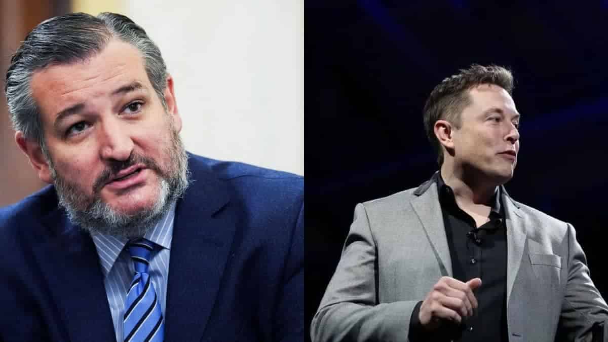 Conservatives think after Elon Musk buyout of twitter they are gaining followers at a faster pace