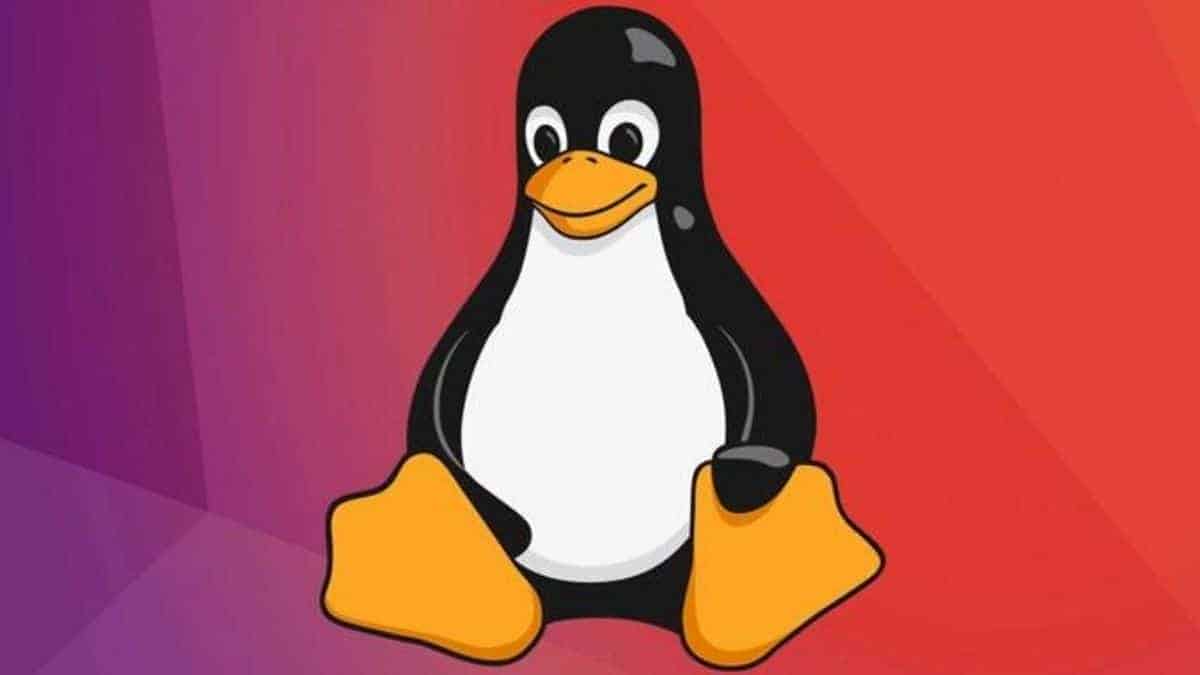 Microsoft has discovered a significant increase in Linux XorDDoS malware behavior