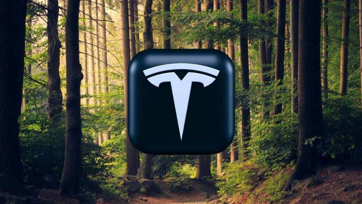 Large funds must stop misleading investors and change their ESG valuation of companies, according to Tesla