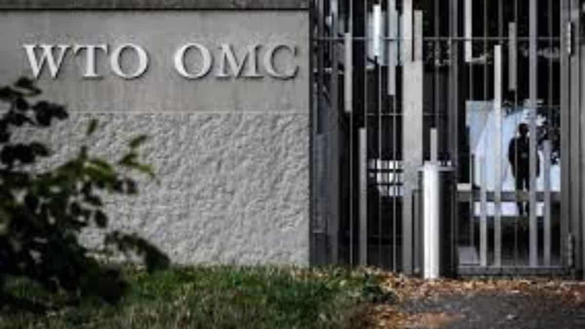 Members strike historic agreement at the 12th WTO ministerial meeting in Geneva