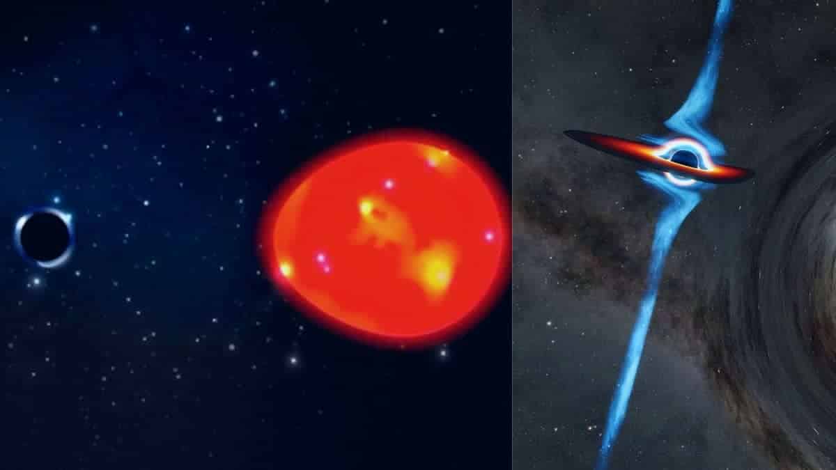 Which is the nearest black hole to earth and how does it look like?