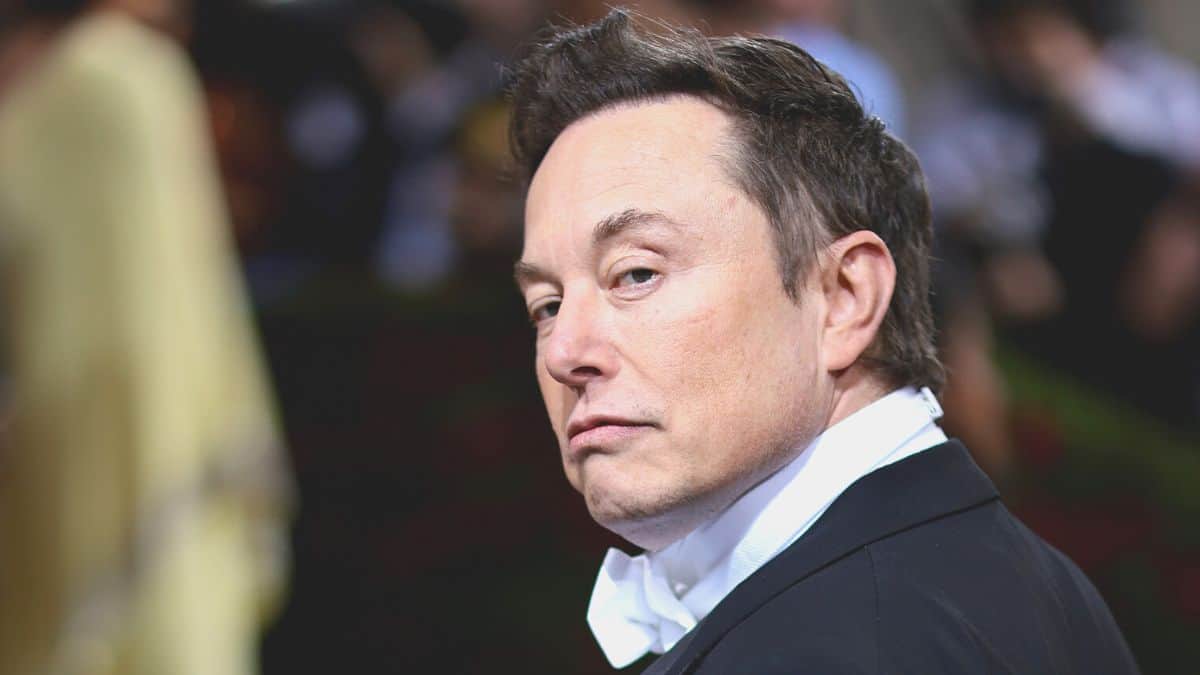 Elon Musk replies to a Twitter user saying "the entire history of human civilization is just a flash in the pan"