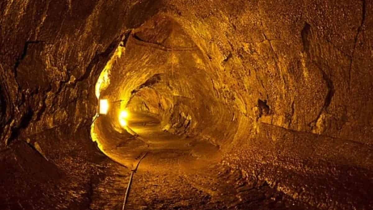 New form of Unique Bacteria found in lava caves of Hawaiian islands