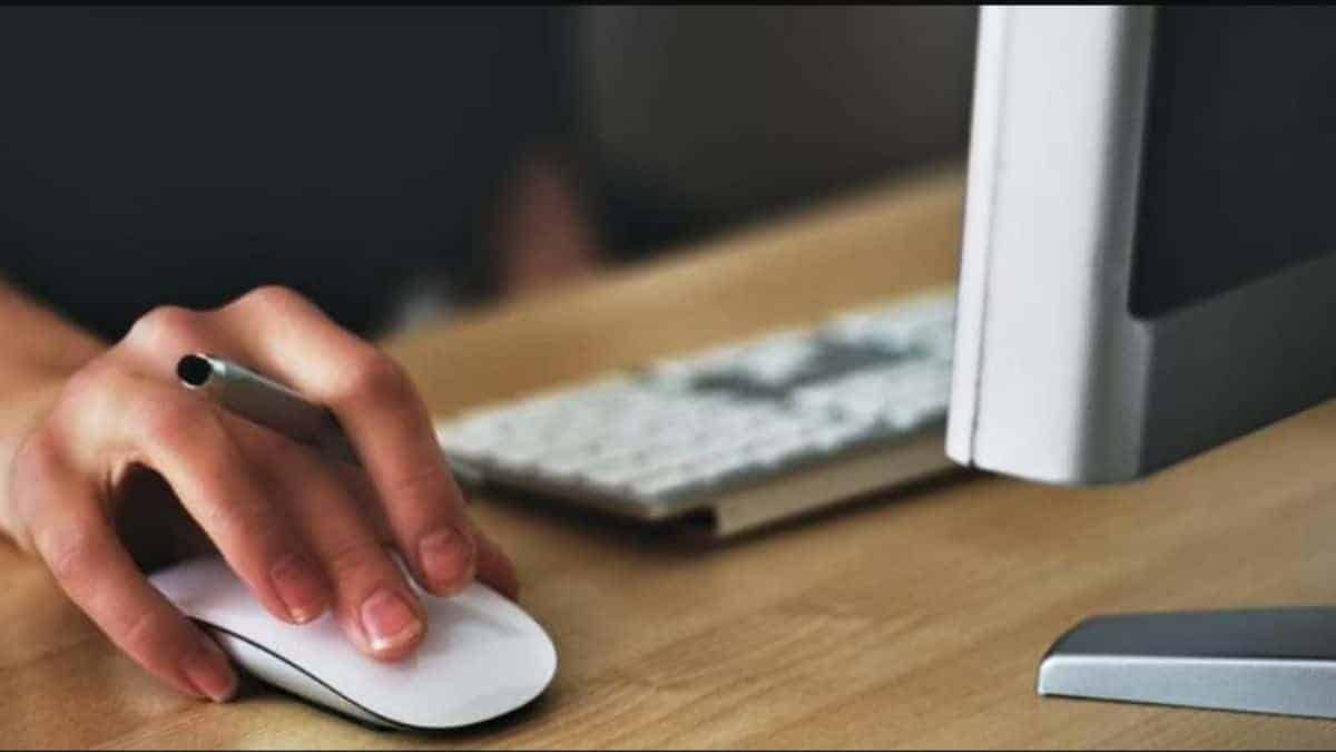 A response to the post after a LinkedIn user explains proudly why she added "sex work" as experience