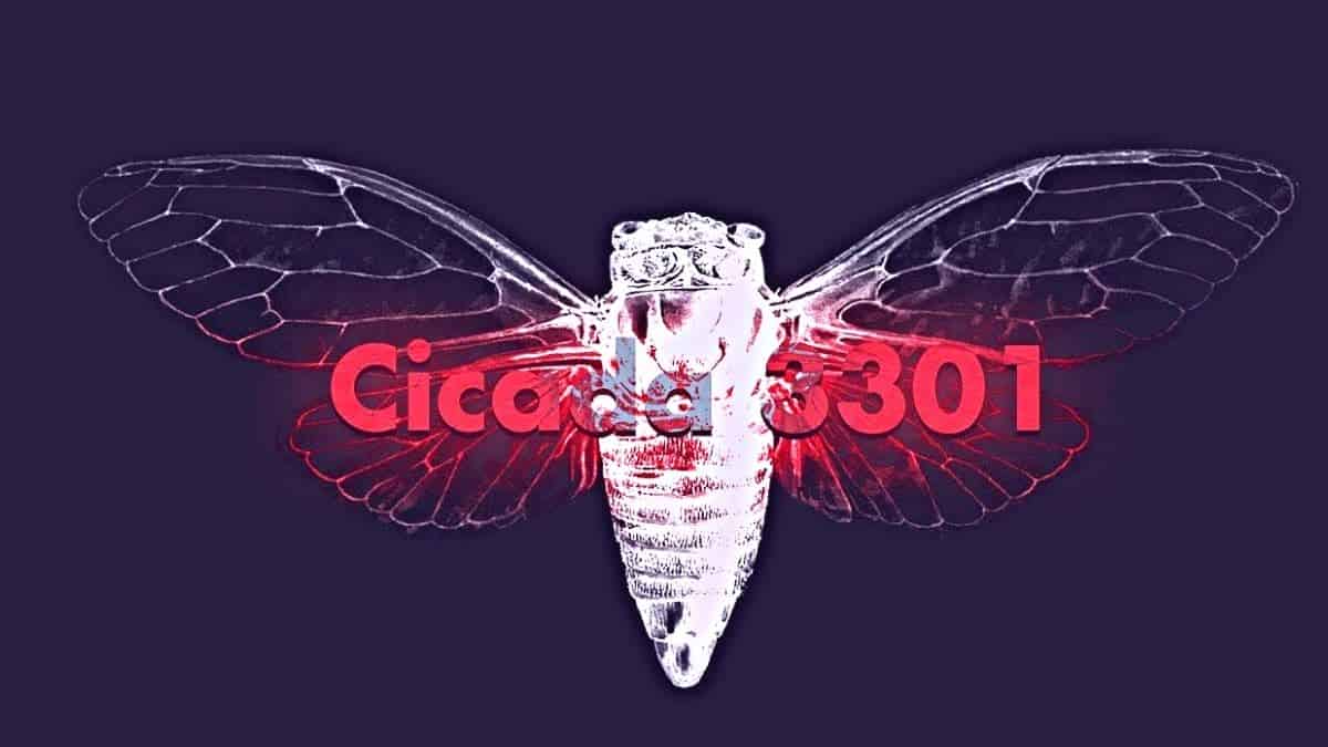 Cicada 3301: the hardest puzzle of the internet lead players to dark website mysteriously