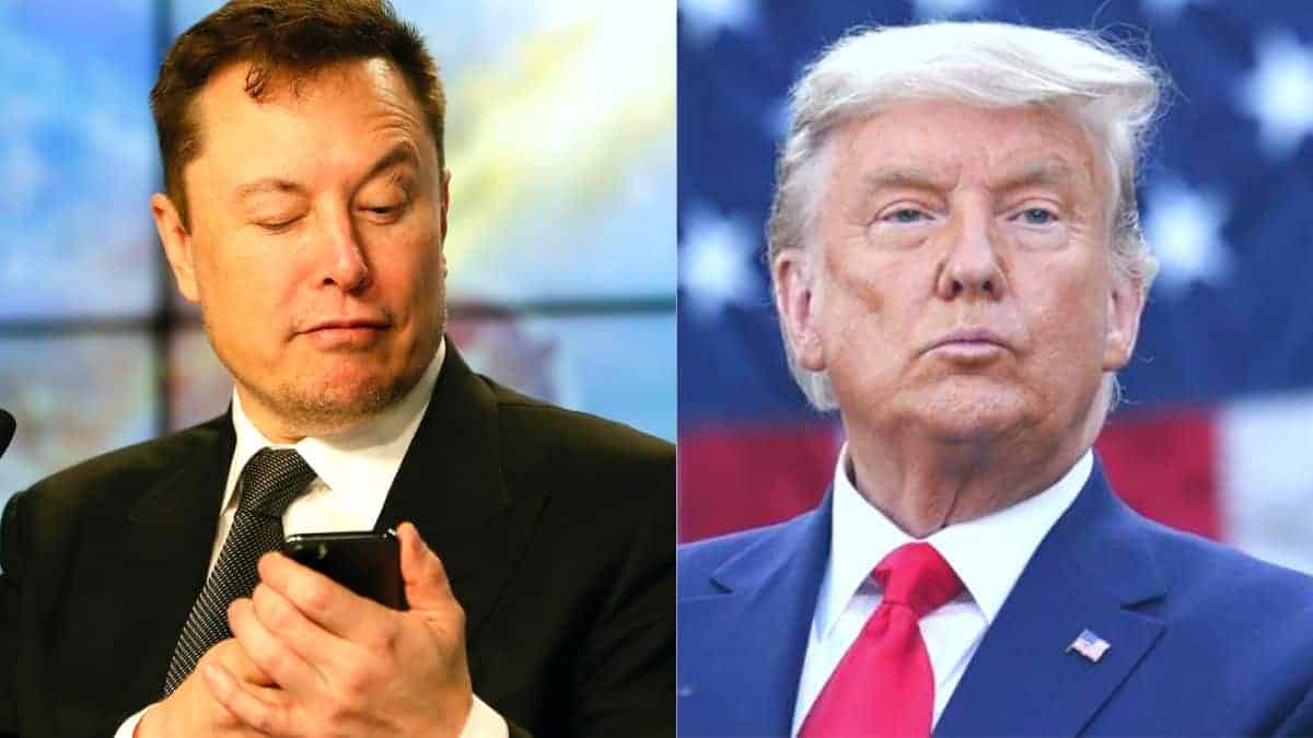 Elon Musk Twitter feud over former U.S. President Donald Trump for calling him "Another bull***t artist"