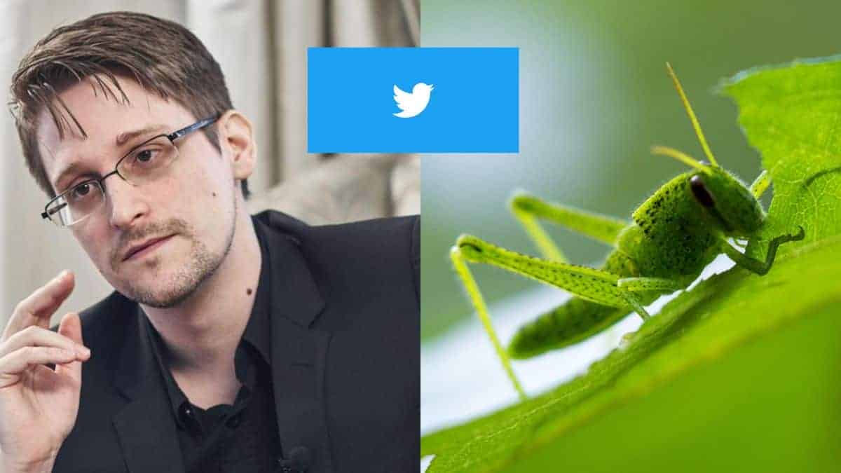 What could Edward Snowden's harmless tweet about 'eating crickets' actually mean!