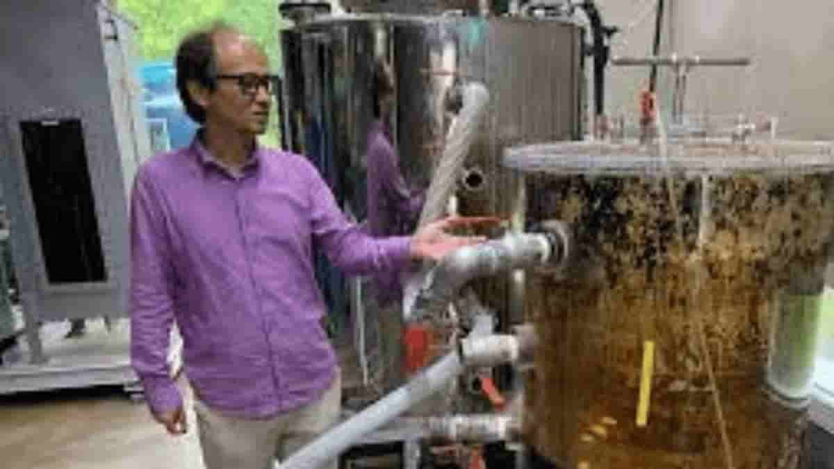 Toilet that converts poop to digital currency: Check If It's True?