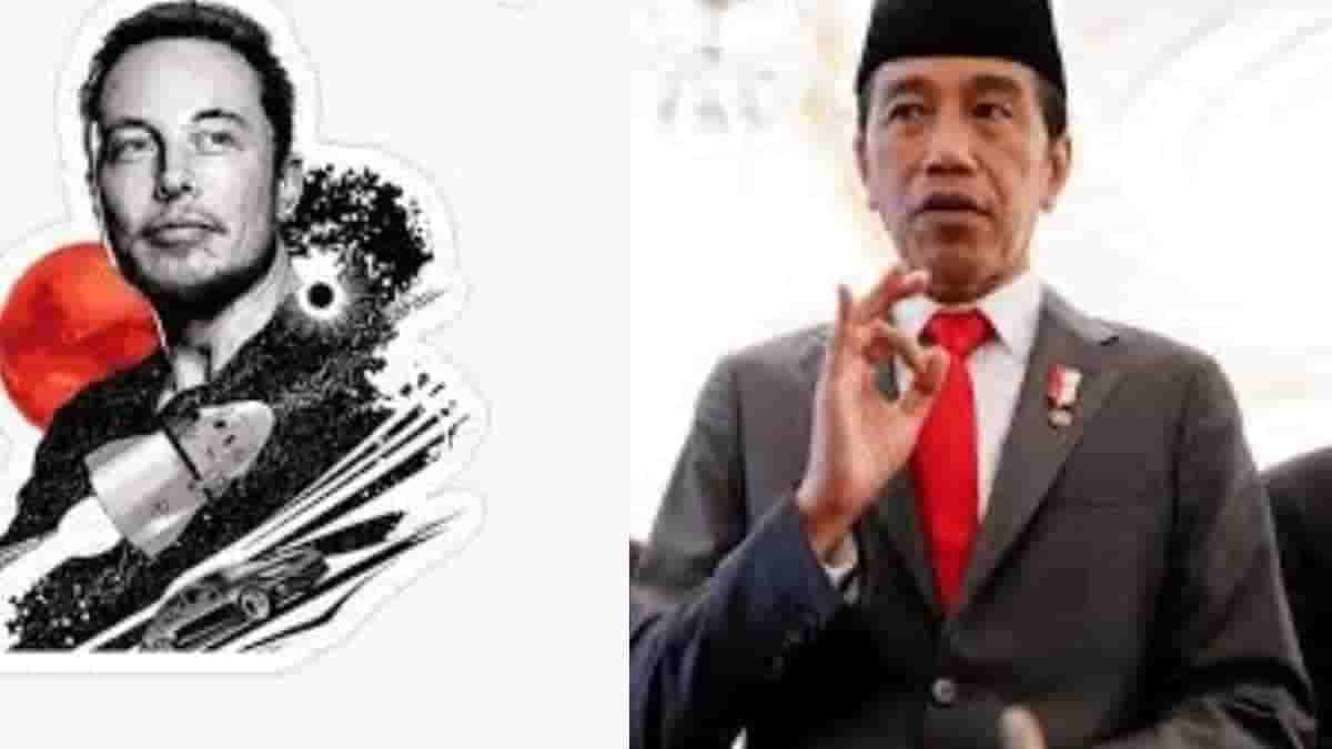 Indonesia to fulfill Nickel orders for Tesla's lithium ion batteries