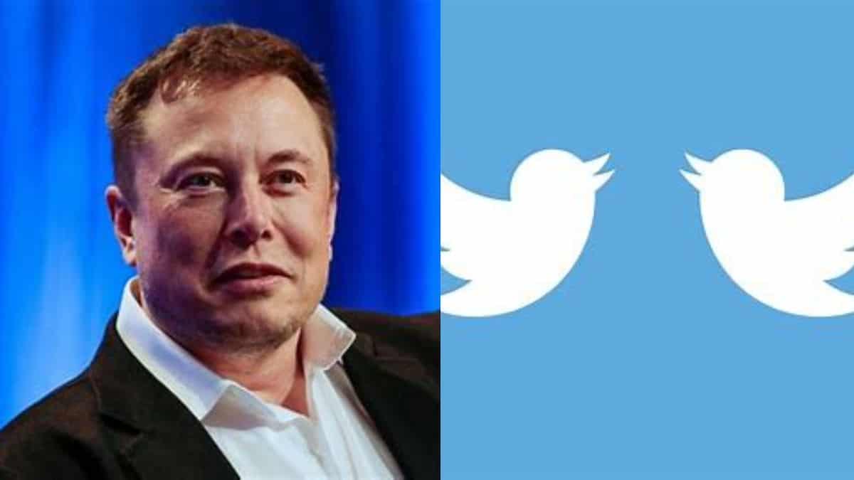 Elon Musk: "Less than 5% of Twitter daily users are fake/spam"