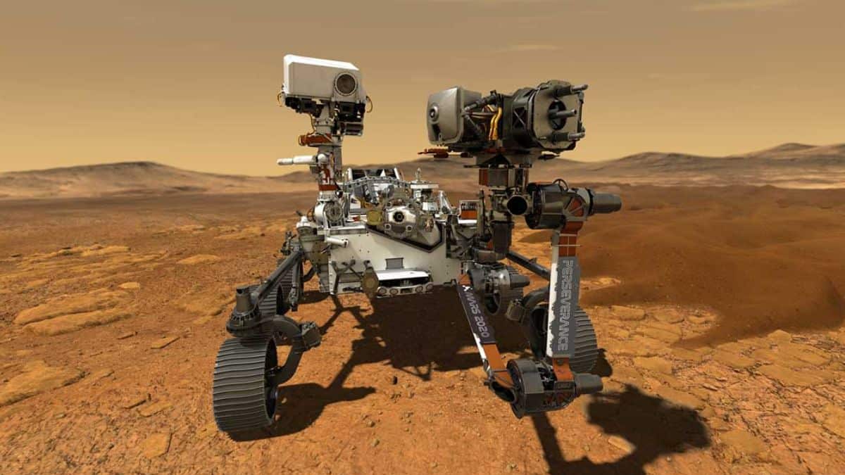¿La NASA encontró pelo de gato en Marte?