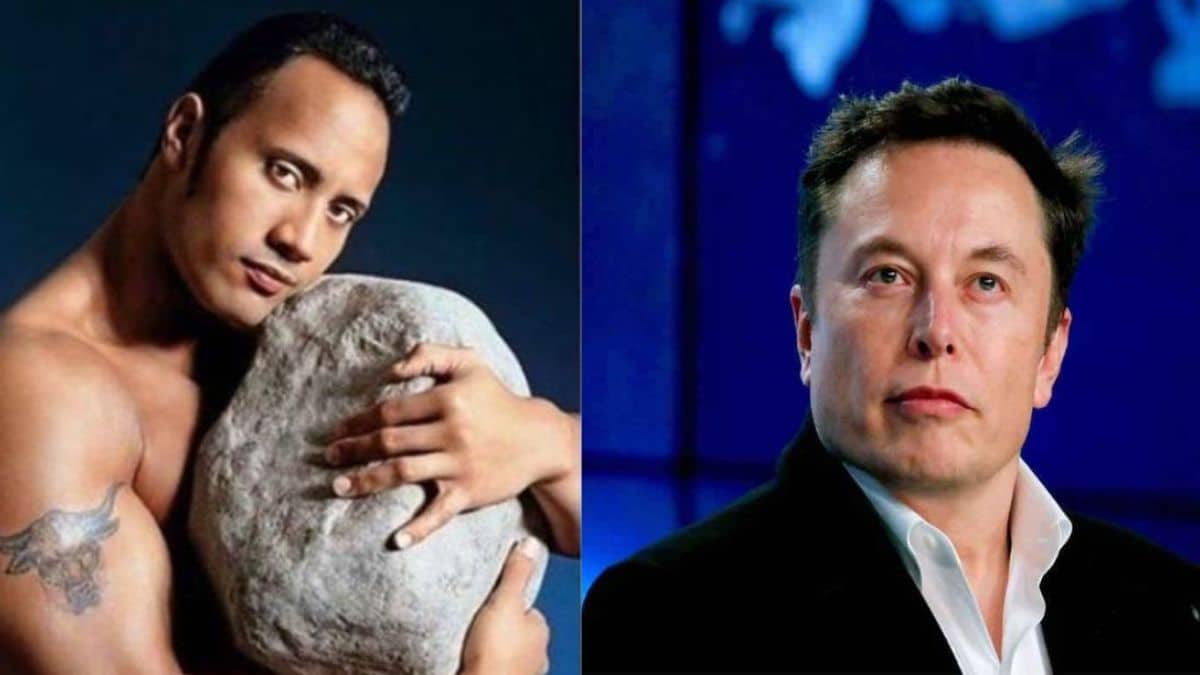 Love Yourself': Elon Musk's Newest 'Dad Joke' is a Meme of The Rock Holding  a Rock - News18