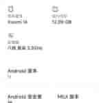 Chinese Version