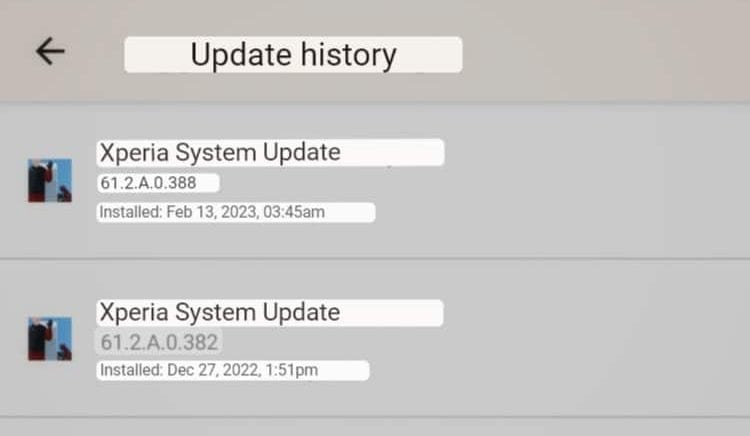 Sony Xperia 1 III Firmware Update