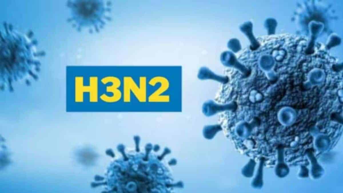 H3N2