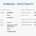 Apple Reality