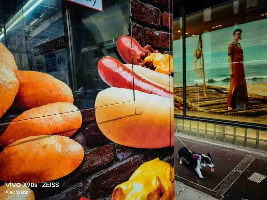 Vivo X90s Camera Samples - 5