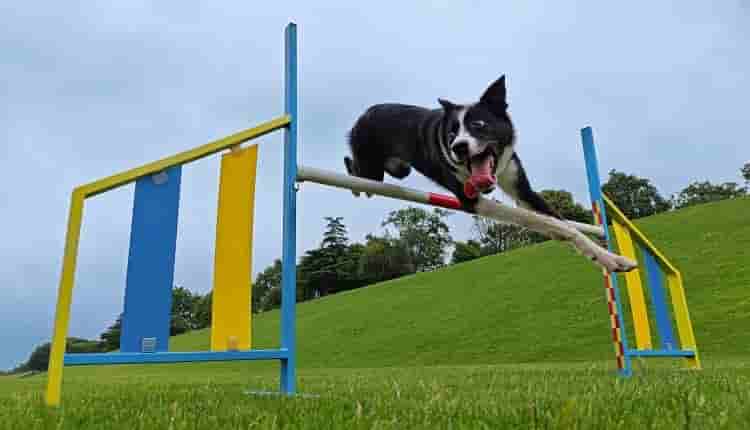 iQOO 11S camera sample 2