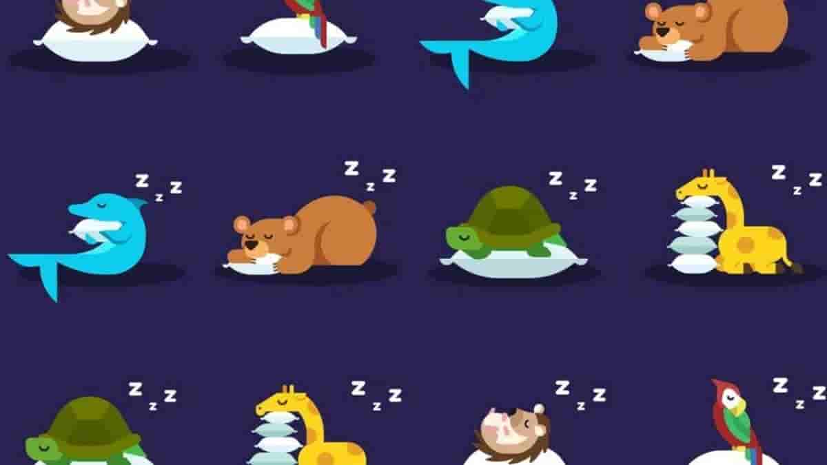 Fitbit’s Sleep Profile