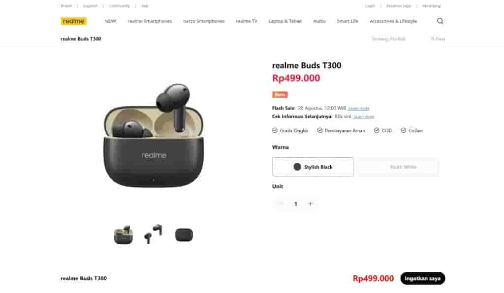Realme Buds T300 - Indonesian Website