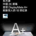 OnePlus 12 Display Specs - Officially Teased - 2