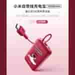 Xiaomi Wired Power Bank (10000 mAh)