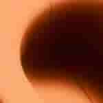 wallpaper_ambra-1