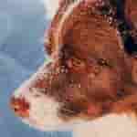IMG-20240105-WA0003[1]