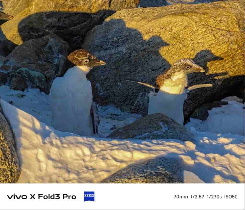 Vivo X Fold 3 Pro - Camera Samples - 4