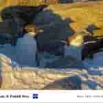 Vivo X Fold 3 Pro - Camera Samples - 4